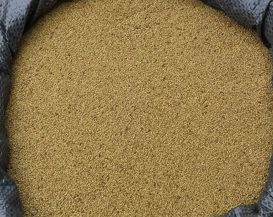 Семе Люцерна Плевен6/Приста