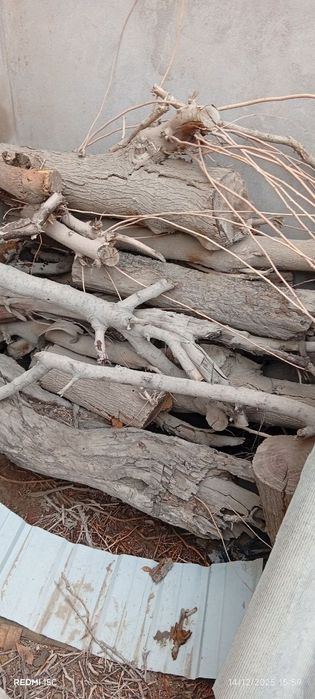 Утин сотилади, гужум ва тут шохолари