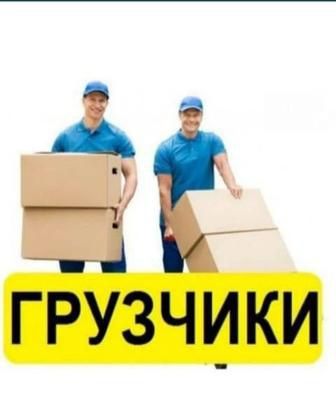 Грузчики от 2500