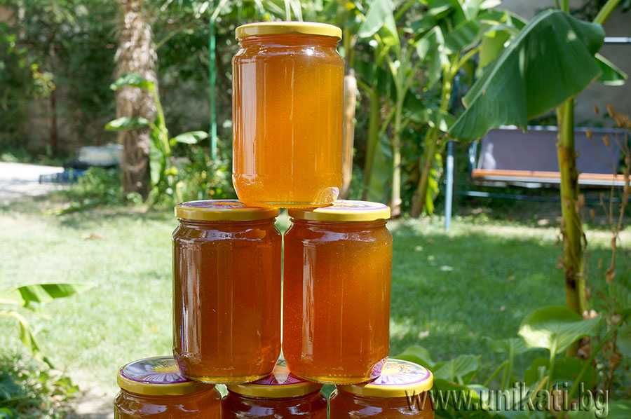 Екологично чист пчелен мед