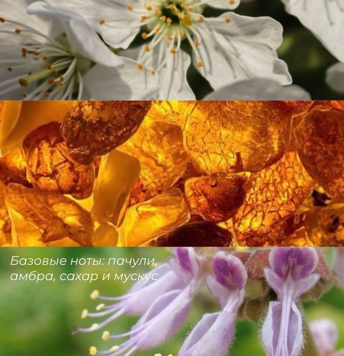 Chimilka отливает 5 мл. ОРИГИНАЛ