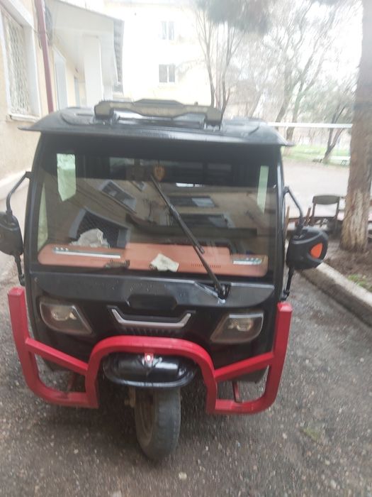 Трицикл электрический  месте с гинератр