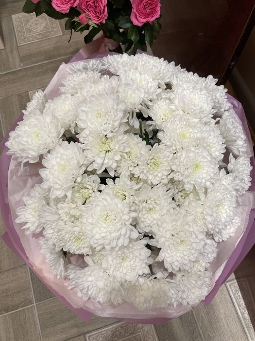 Кустовые хризантемы