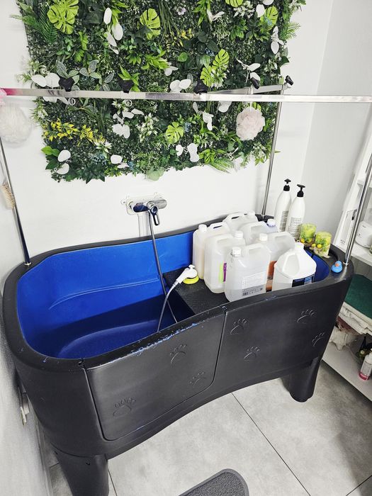 Cada fixa Neptun pentru toaletaj