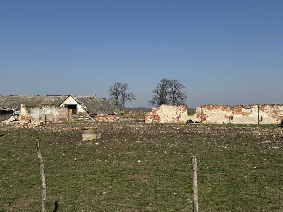 Ferma Bihor Salonta Baia Veche