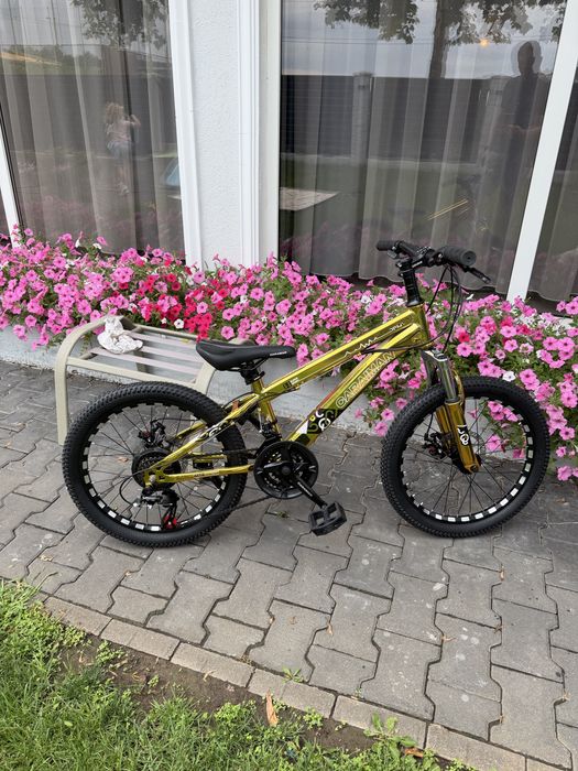 Bicicleta Caraiman retur