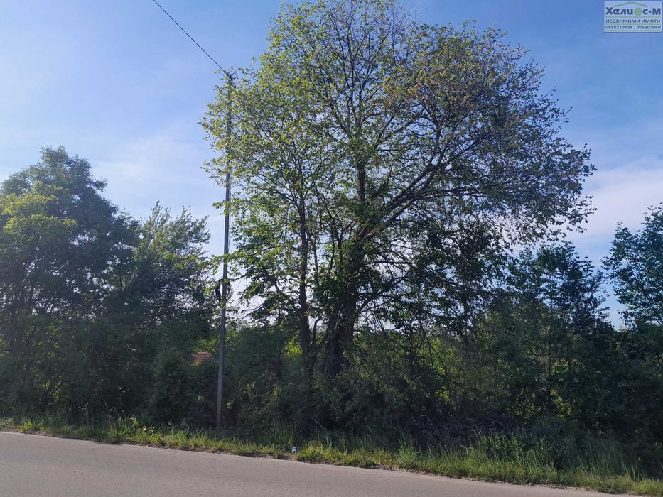 Продава се Парцел в Монтана, Парта 1 - 1000 кв.м за 7 €/кв.м - Снимка #5