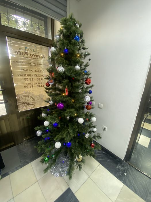 Yangi yil Archasi 2m