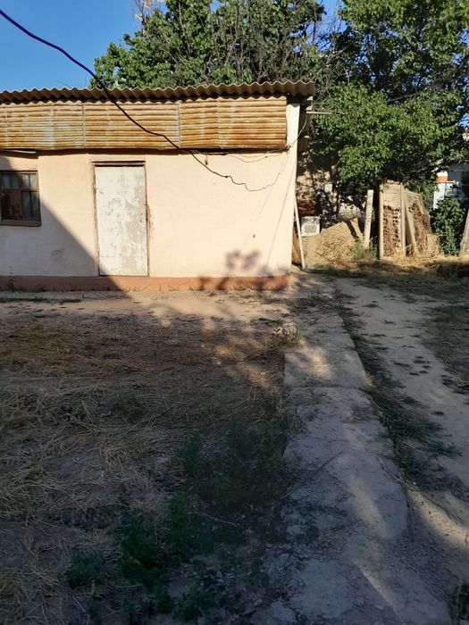 Срочно продаем дачу шубарсу