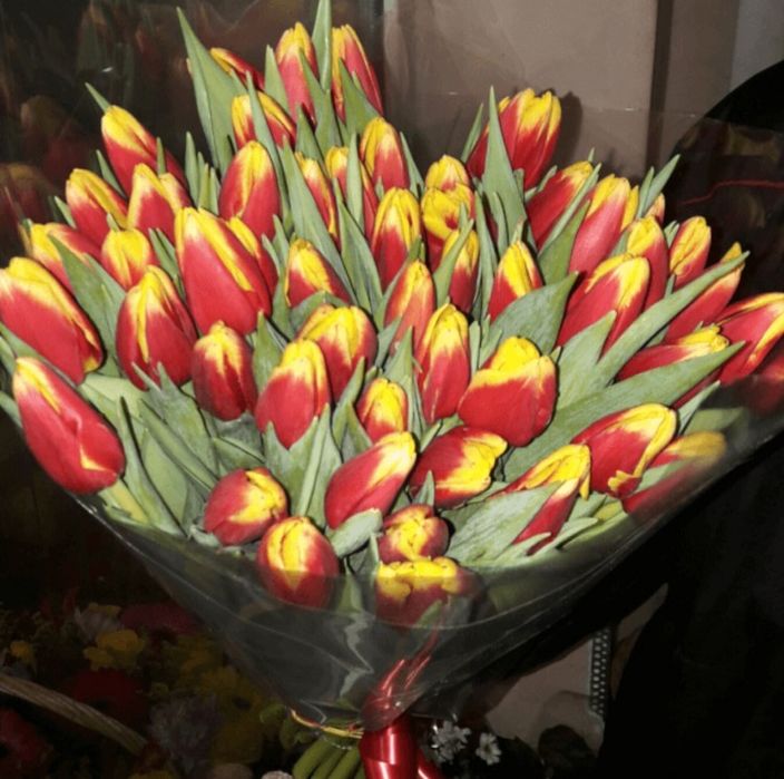 Тюлпаны Оптом и Розница