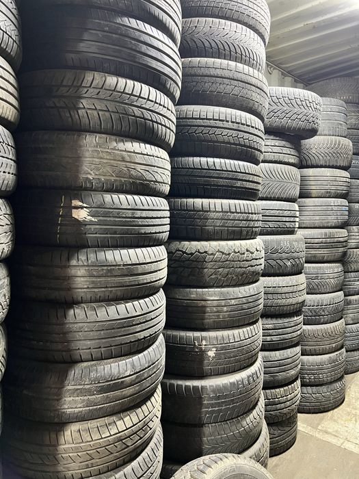 Одиночка балондар, Безпарный 1 шт