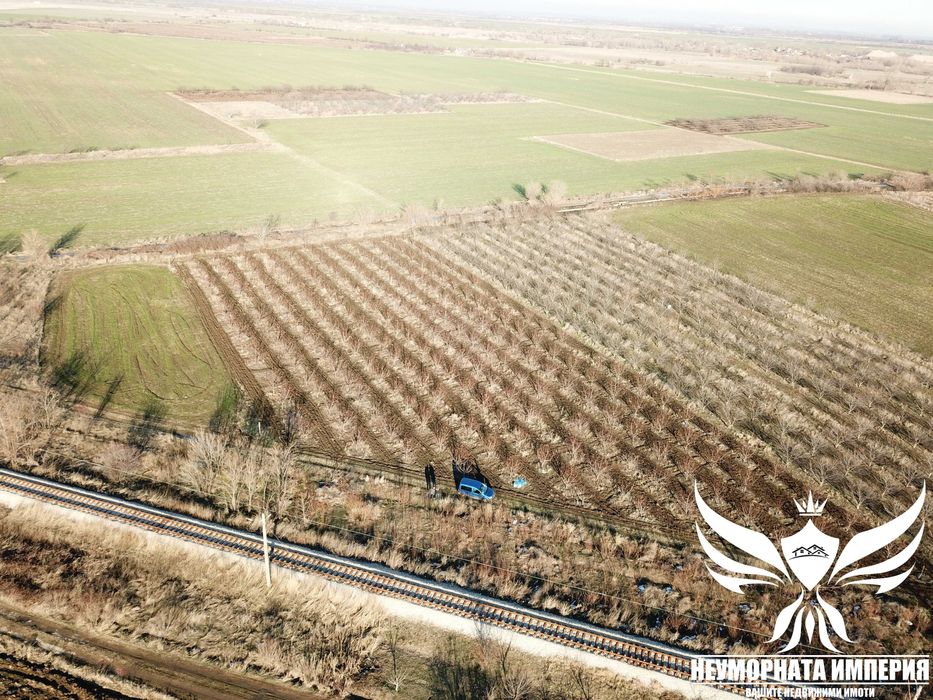 Продавам черешова градина 5800кв.м. в гр.Асеновград