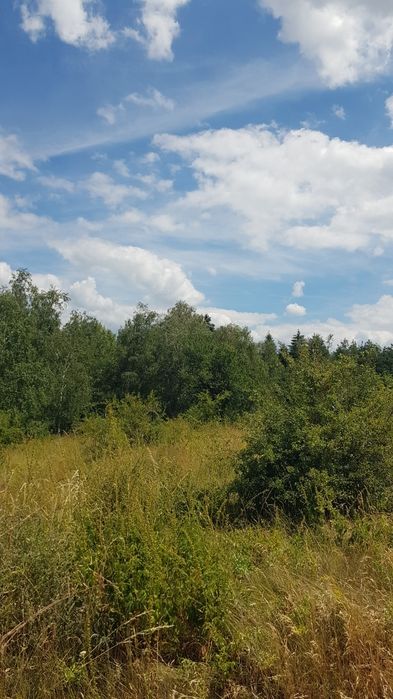 Продава се Парцел в Сапарева баня - 1300 кв.м за 16 €/кв.м - Снимка #2