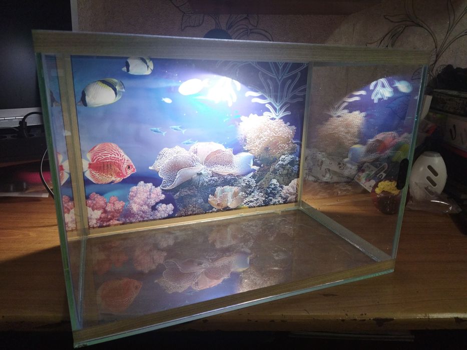 Продам аквариум с декорациями