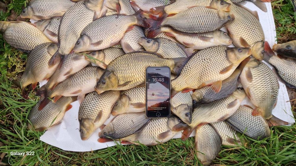 Заребителен материал-шаран