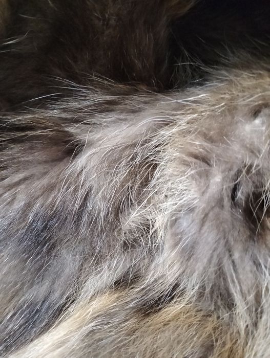 Натуральная парка