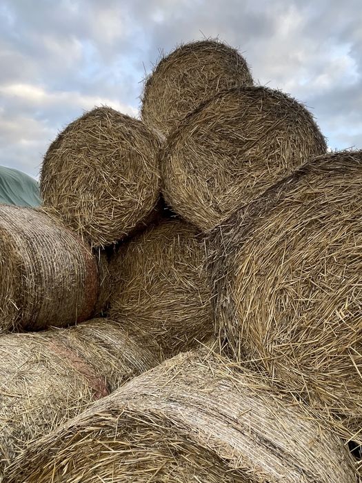 Baloti de paie 120-120