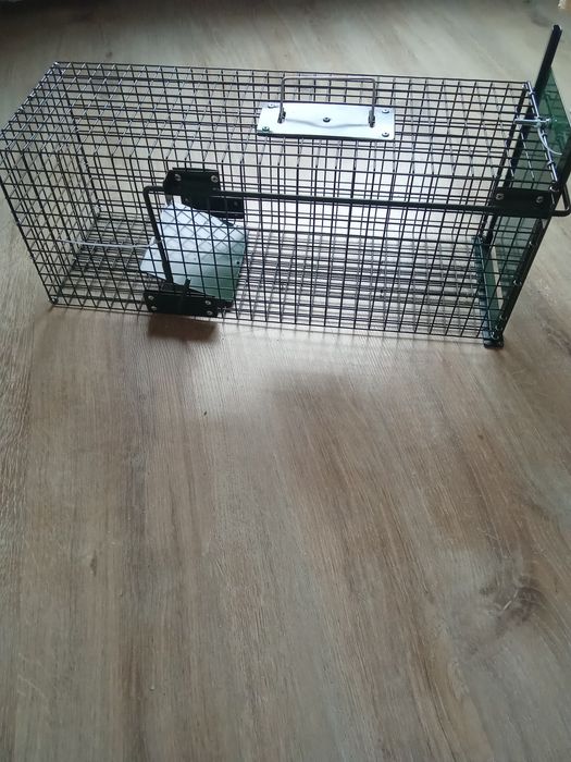 Капан за котки ,порове,съсели ,Под  НАЕМ.