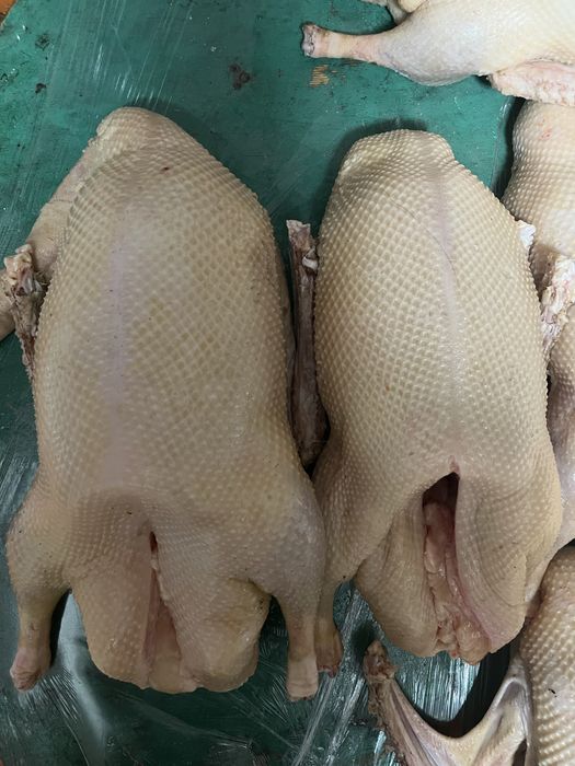 Продам мясо домашних гусей 3000тг за кг