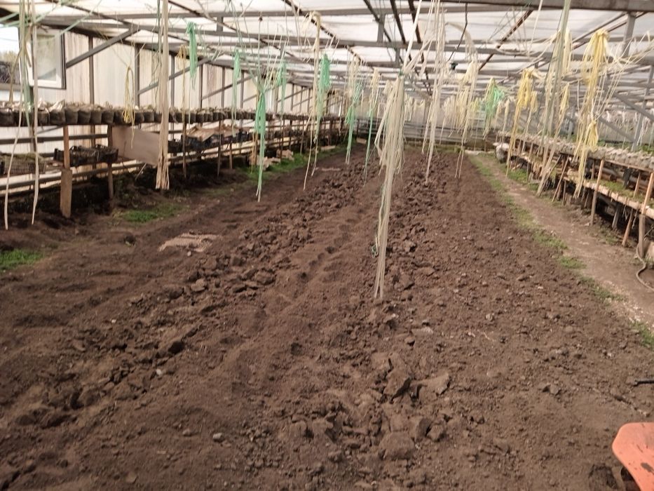 Дача недвижимость