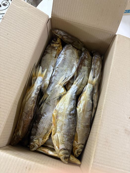 Рыбец Атырауский