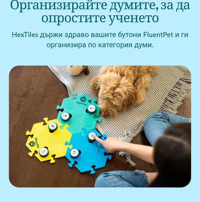 Общувай с домашен любимец