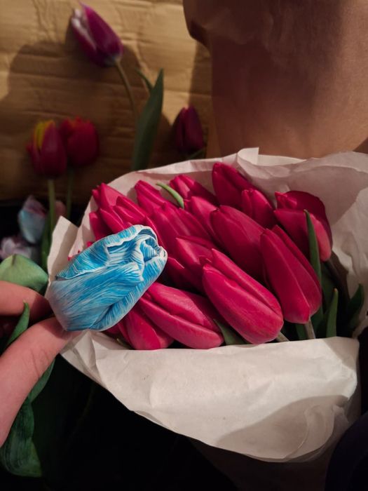 Тюльпаны по 500 тг