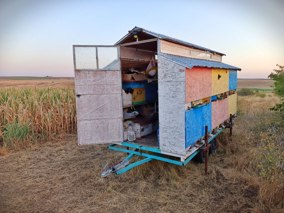 Container modul apicol