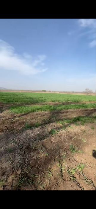 Продам землю пол гектар крестьянский хозяйства