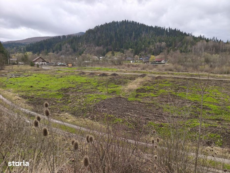 Teren intravilan, 22600mp, zona Manastirea Sucevita