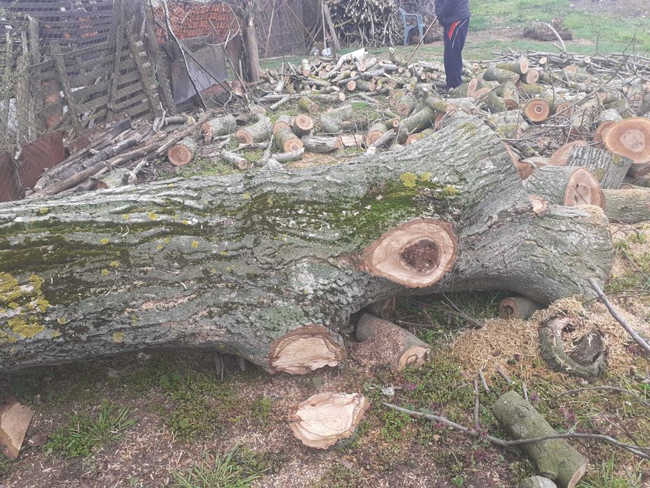 Дървен материал орех