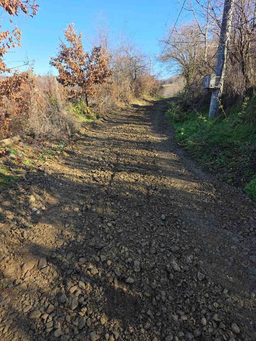 Почистващи, изкопни, насипни и озеленителни услуги