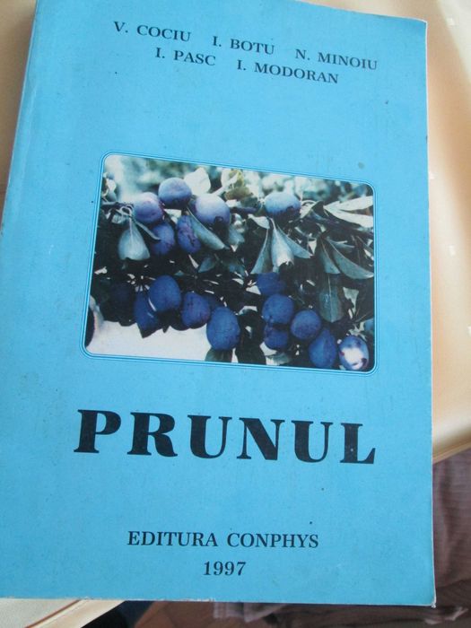 1997  carte Prunul
