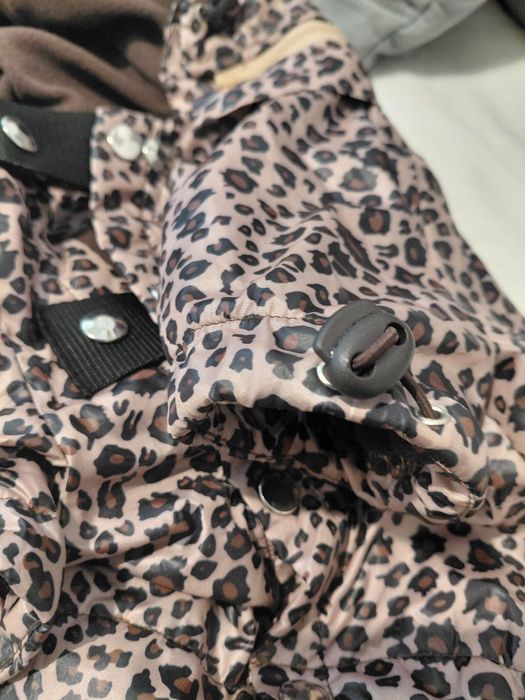 Кучешки якенца М