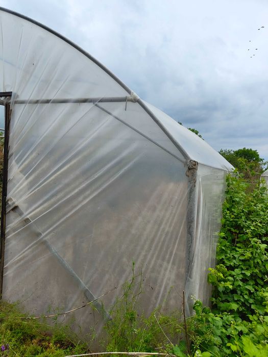 Оранжерии поцинковани.