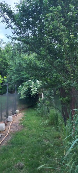 Vind casa si teren in Poenari-Giurgiu