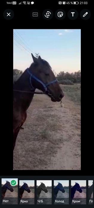 Кунан сатылады 800000