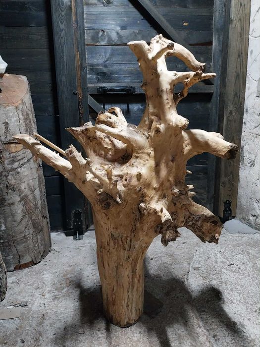 Декорация за градината- 2 корена от Дъб