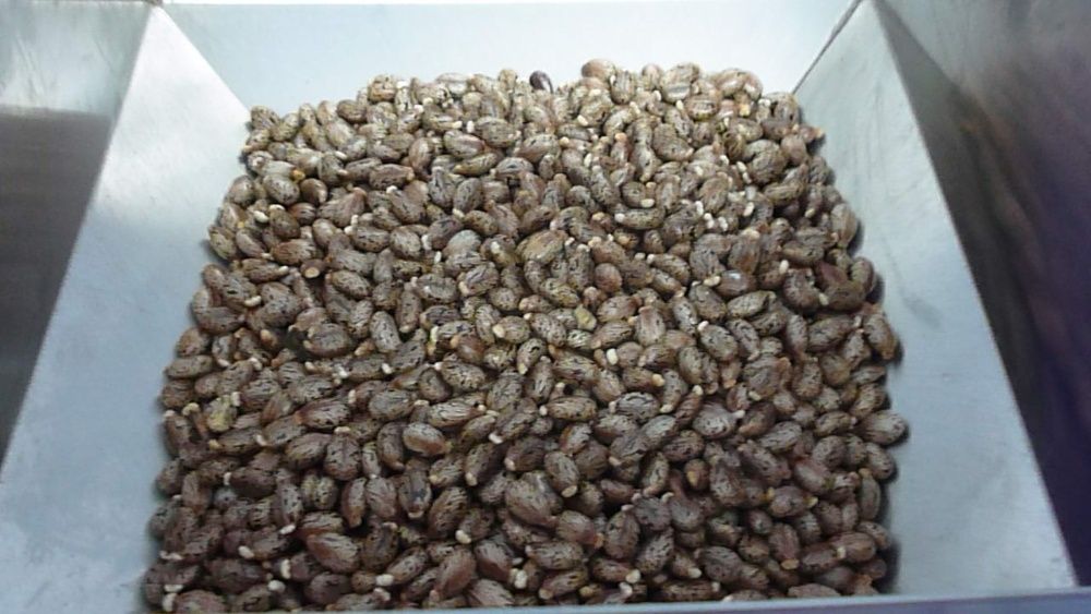 Presa ulei 220V 13700 ron