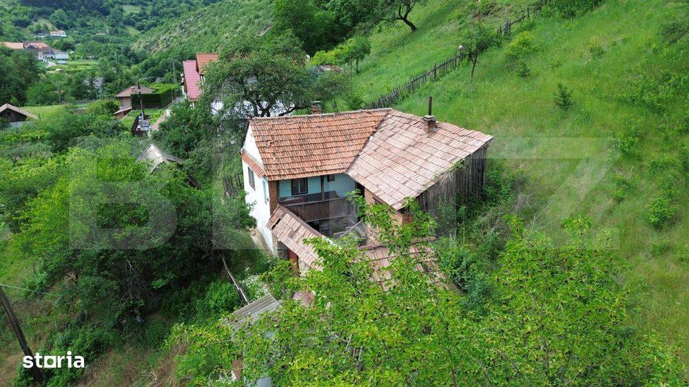 Casa traditionala, investitie potential de dezvoltare, 65 mp, Capalna,