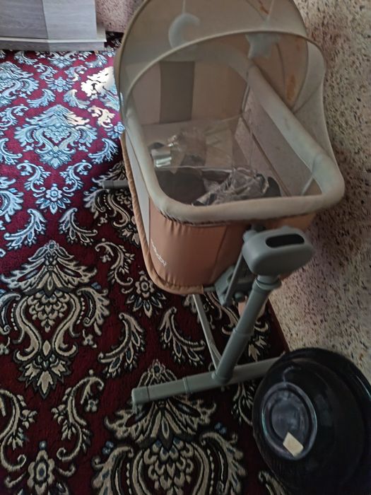 Tokli belanchak bir marta yotgan holos