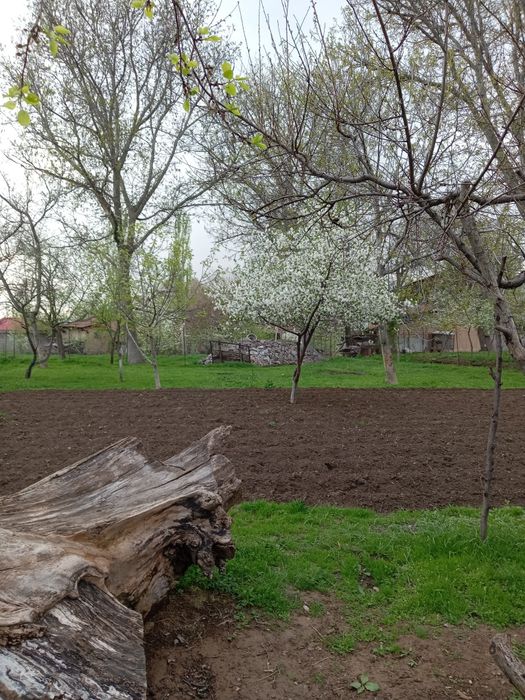 Тошкент вилоятида Бостонлик тумани октошда участка Ер сотилади