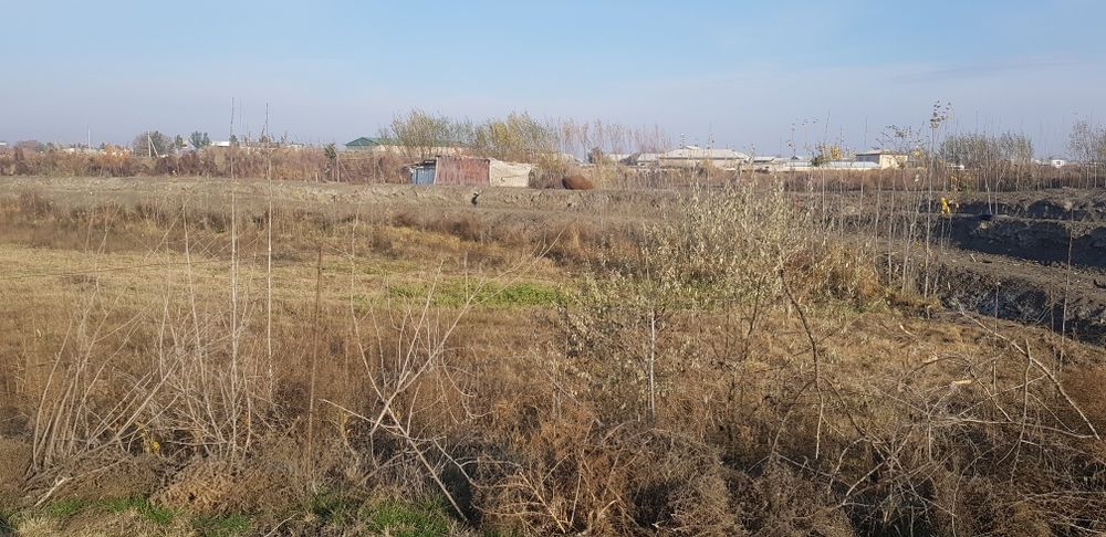 Kuchmas mulk sotiladi.