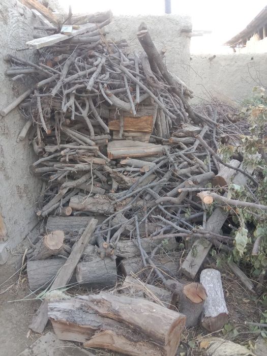 У́тин сотилади курук залдори