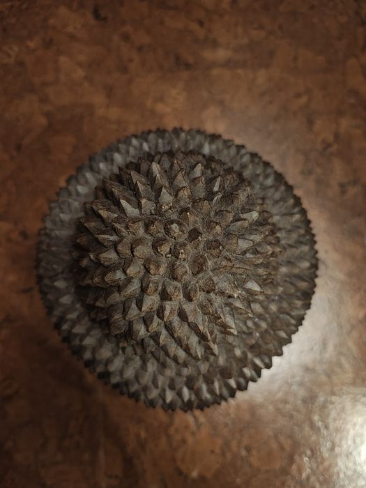 Автентична статуя бюст на Буда от о-в Бали