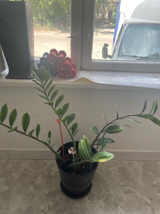 Продам холодильник ветриный