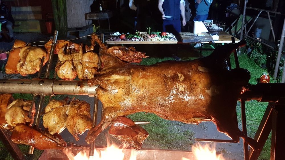 Protap rotisor animale - vitel purcei miei nunti botezuri evenimente