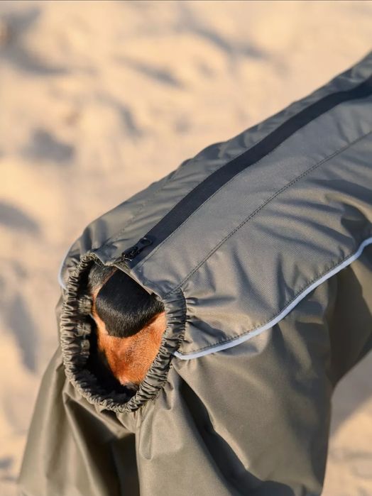 Дождевик для собак