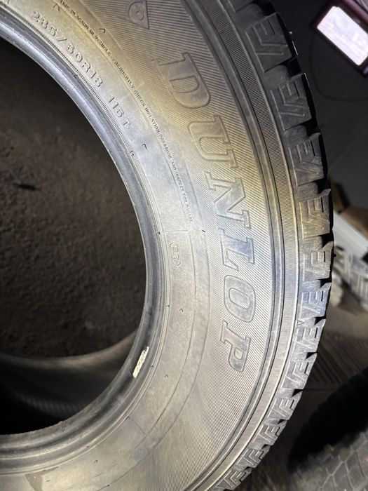 Шины Dunlop SP Winter Ice 01.