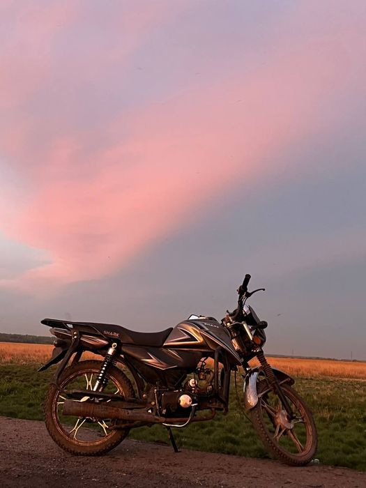Альфа Shark 115cc